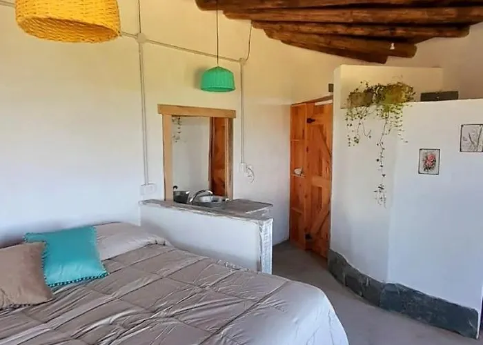 Hibiscus, Suites De Campo